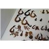 Image 6 : Misc Hawaiian-Theme Koa Wood Pendants, etc - Fish Hooks, Paddles, Ipu, Honu, etc