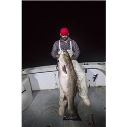 Newport Rhode Island Striper fishing for 4