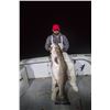 Image 1 : Newport Rhode Island Striper fishing for 4