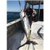 Image 4 : Newport Rhode Island Striper fishing for 4