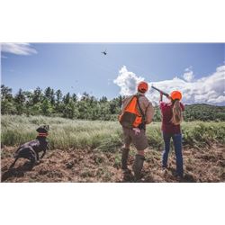 New Hampshire Upland Pheasant Hunt