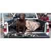 Image 2 : Rhode Island Sea Duck Hunt for 4 Hunters