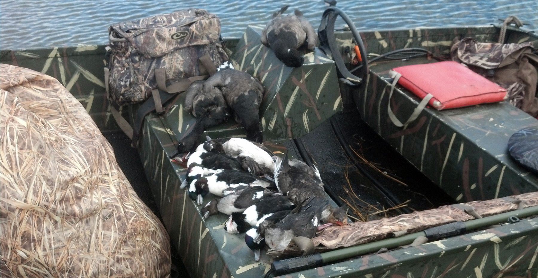 Rhode Island Sea Duck Hunt for 4 Hunters