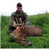 Image 1 : 7 Day Scotland Roe Dear Hunt