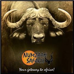 5 Day South African Plains Game Hunt