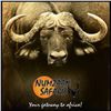 Image 1 : 5 Day South African Plains Game Hunt