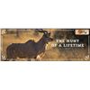 Image 2 : 5 Day South African Plains Game Hunt