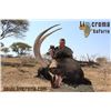 Image 1 : 10 Day South African Sable Hunt