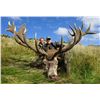 Image 4 : 7 Day Scotland Stag Hunt