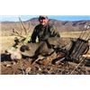 Image 2 : 5 Day Arizona Mule Deer Hunt
