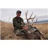 Image 3 : 5 Day Arizona Mule Deer Hunt