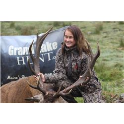 Maine Red Stag Hunt
