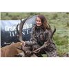 Image 1 : Maine Red Stag Hunt