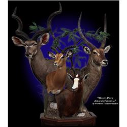 Northeast Taxidermy Certificate