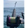 Image 4 : Fast Action Spinning Rod