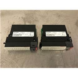 (2) Allen Bradley 1756-IA16I/A Input Unit