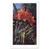 Image 1 : Paradise Gardens - Amaryllis by Scholze, Diane Garrick