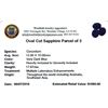 Image 2 : 17.67 ctw Oval Cut Sapphire Parcel