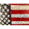 Image 2 : Samir Sammoun (American Flag )"FREEDOM"