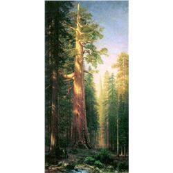 The Big Trees, Mariposa Gove, California by Albert Bierstadt