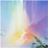 Image 2 : Thomas Leung, "Rainbow Falls" Framed Limited Edition, Numbered 288/850 and Hand Signed with Letter o