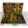 Image 1 : 1924 MATCHED SET OF LICENCE PLATES