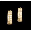 Image 1 : 14K Yellow Gold (not plated) Two Row CZ Hoop Ea