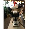 Image 1 : SINGLE STATION BUNN CW SERIES COMMERCIAL COFFEE BREW STATION WITH 2 WARMING PLATES & 3 COFFEE POTS