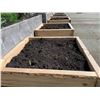 Image 2 : PAIR OF WOODEN PLANTER BOXES WITH GLADIOULUS