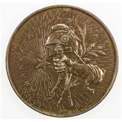 BRAZIL: AE medal (65.17g), 1894. EF