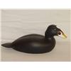 Image 1 : 16 1/2" SCOTER DUCK DECOY SIGNED BILL C