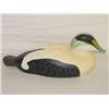 Image 1 : 18" COMMON EIDER DUCK DECOY SIGNED BILL