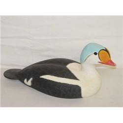 17" KING EIDER DUCK DECOY SIGNED BILL C