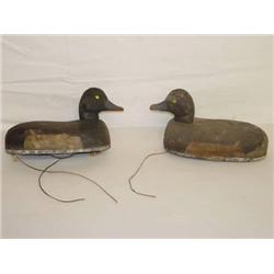 (2) 11" BROADBILL DUCK DECOYS BY HERTER