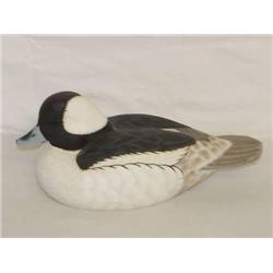 11 1/2" BUFFLEHEAD DRAKE DUCK DECOY SIG
