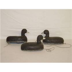 (3) 11" COOT DECOYS BY HERTERS - WASECA