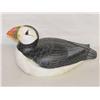 Image 1 : 10" ATLANTIC PUFFIN DECOY SIGNED C.M. N
