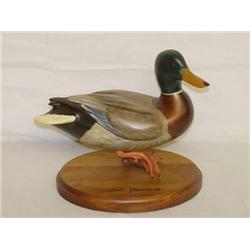 10 1/2" MALLARD DRAKE DUCK DECOY ON A W