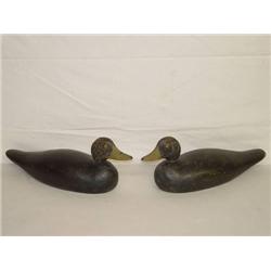 (2) LONG BODIED BLACK DUCK DECOYS - ATT