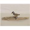 Image 1 : 4" MINIATURE CANADA GOOSE DECOY ON A DR