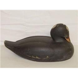 16" SCOTER DUCK DECOY