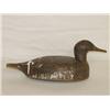 Image 1 : 14 1/2" BLUE BILL DUCK DECOY