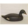 Image 1 : 18 1/2" SCOTER DUCK DECOY