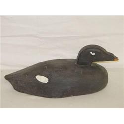 15 1/2" SCOTER DUCK DECOY