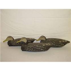 (3) 20" JUMBO CORK BLACK DUCK DECOYS