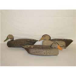 (3) 19" JUMBO CORK BLACK DUCK DECOYS