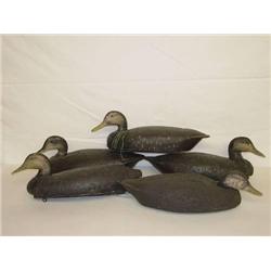 (5) 20" JUMBO CORK BLACK DUCK DECOYS