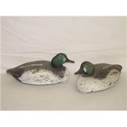 (2) 17" JUMBO CORK GOLDENEYE DUCK DECOY