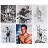 Image 1 : Tarzan