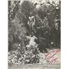 Image 5 : Tarzan